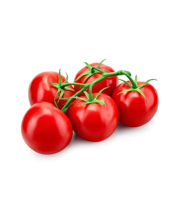 Tomate - طماطم