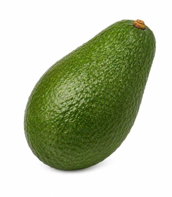 Avocat - أفوكادو