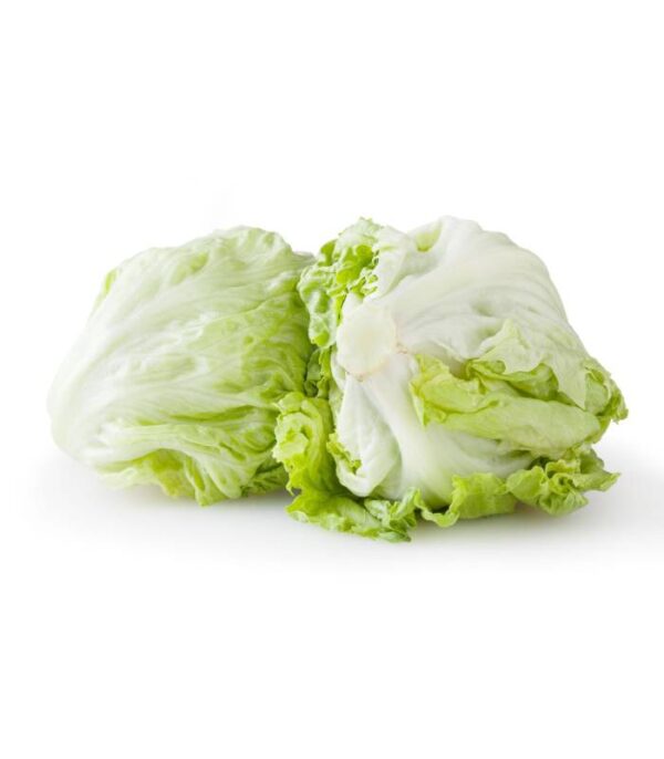 Iceberg - خس الأيسبرغ