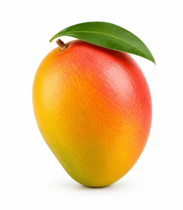 Mangue - مانجا