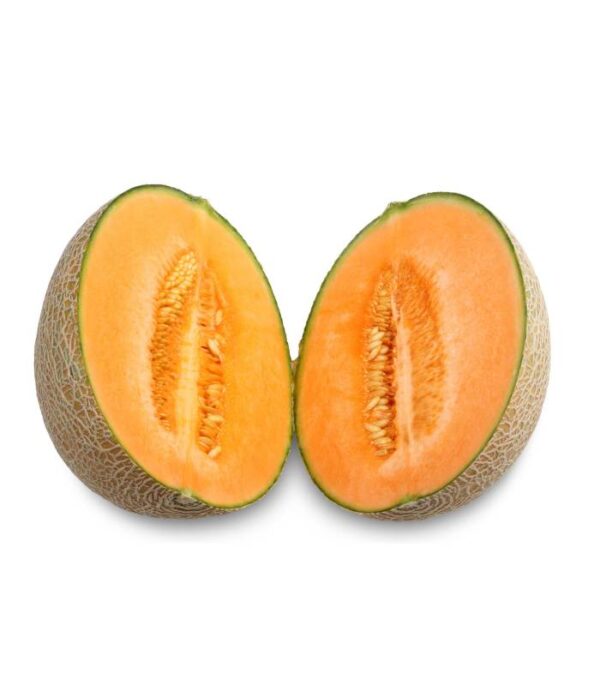 Melon Cantaloup - بطيخ