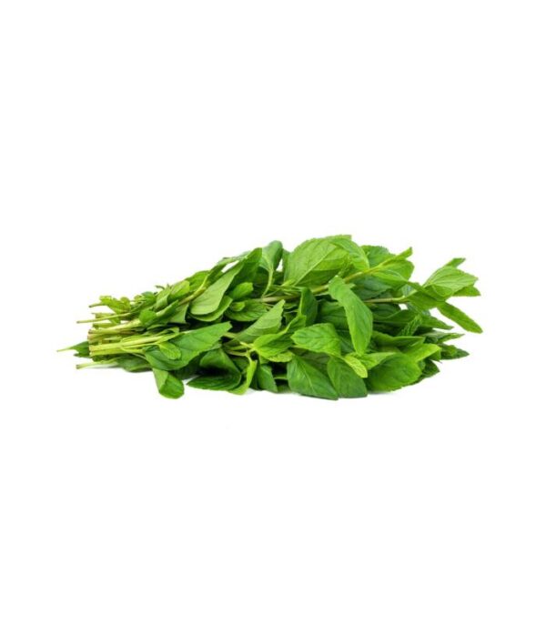Menthe - نعناع