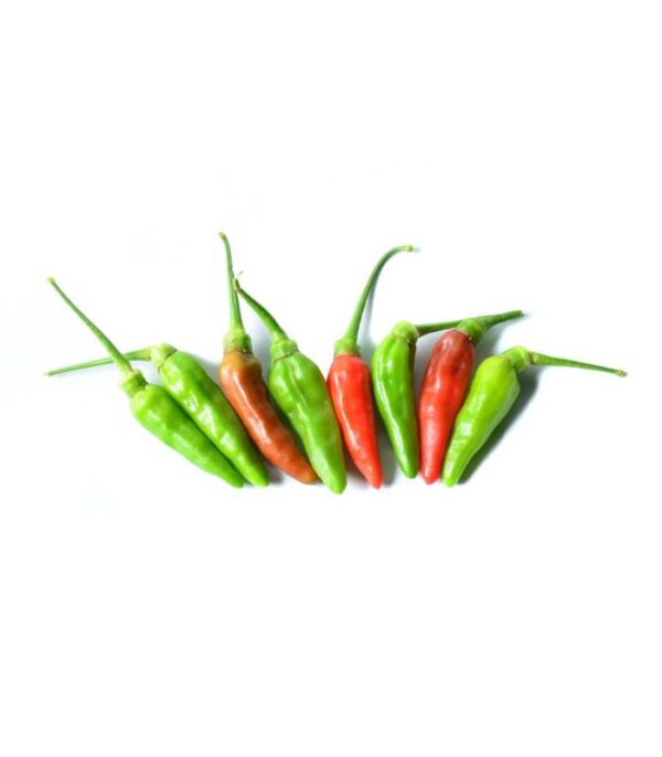 Piment piquant - فلفل حار