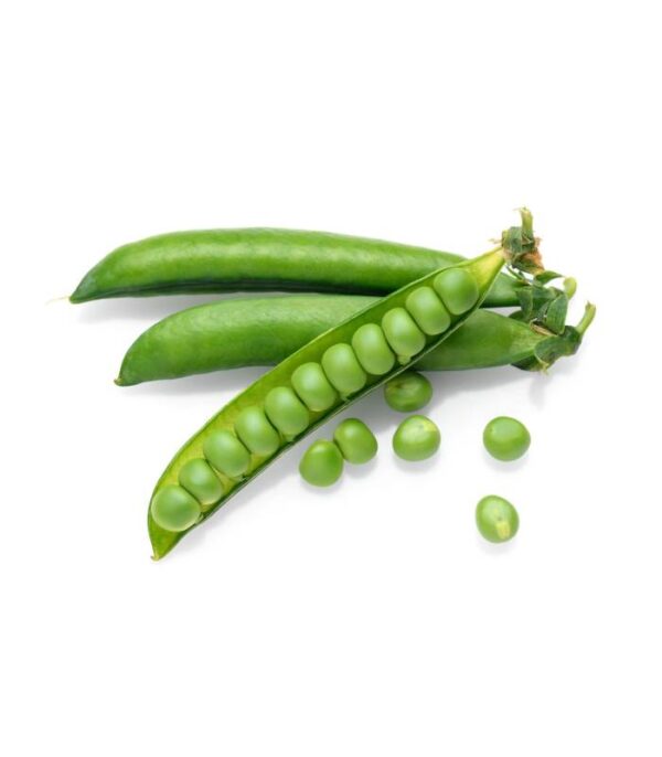 Pois vert - جلبانة
