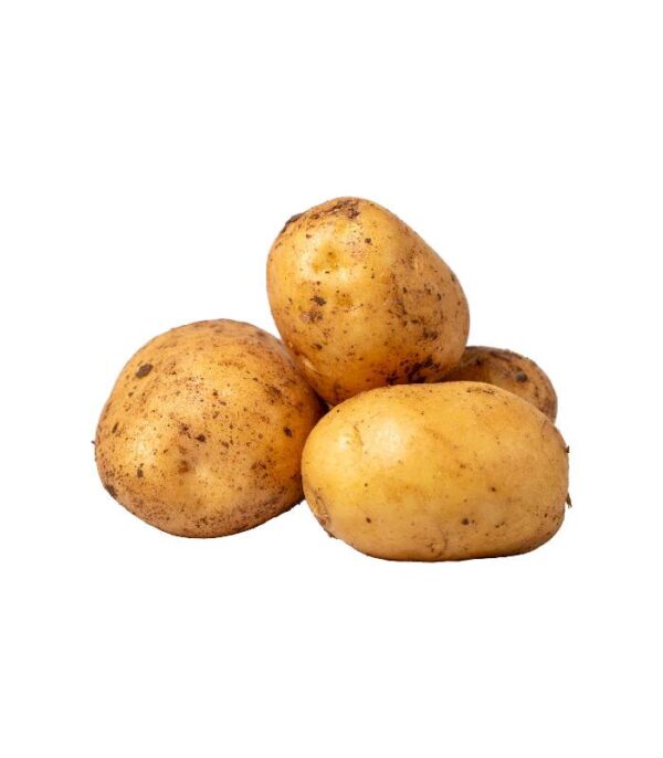 Pomme de terre - بطاطا