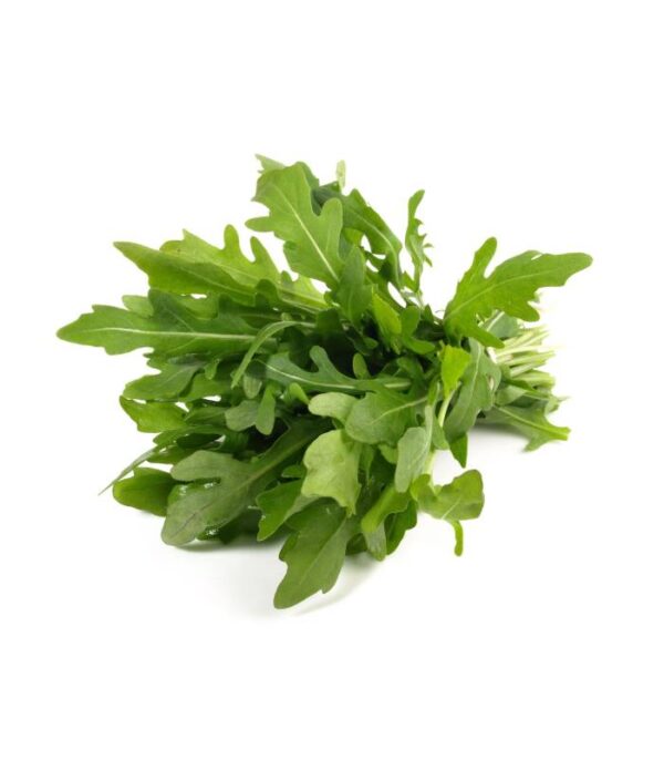 Roquette Fraîche - جرجير